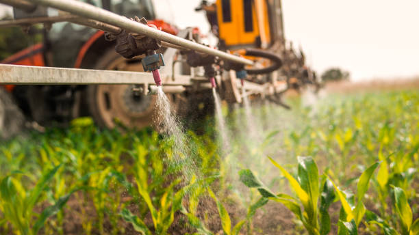 Best Insect Control  in Appleton, MN
